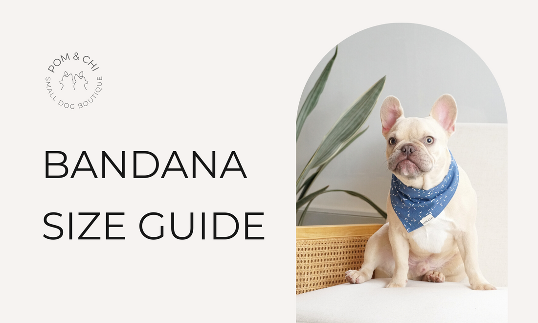 POM & CHI Dog Bandana Size Guide