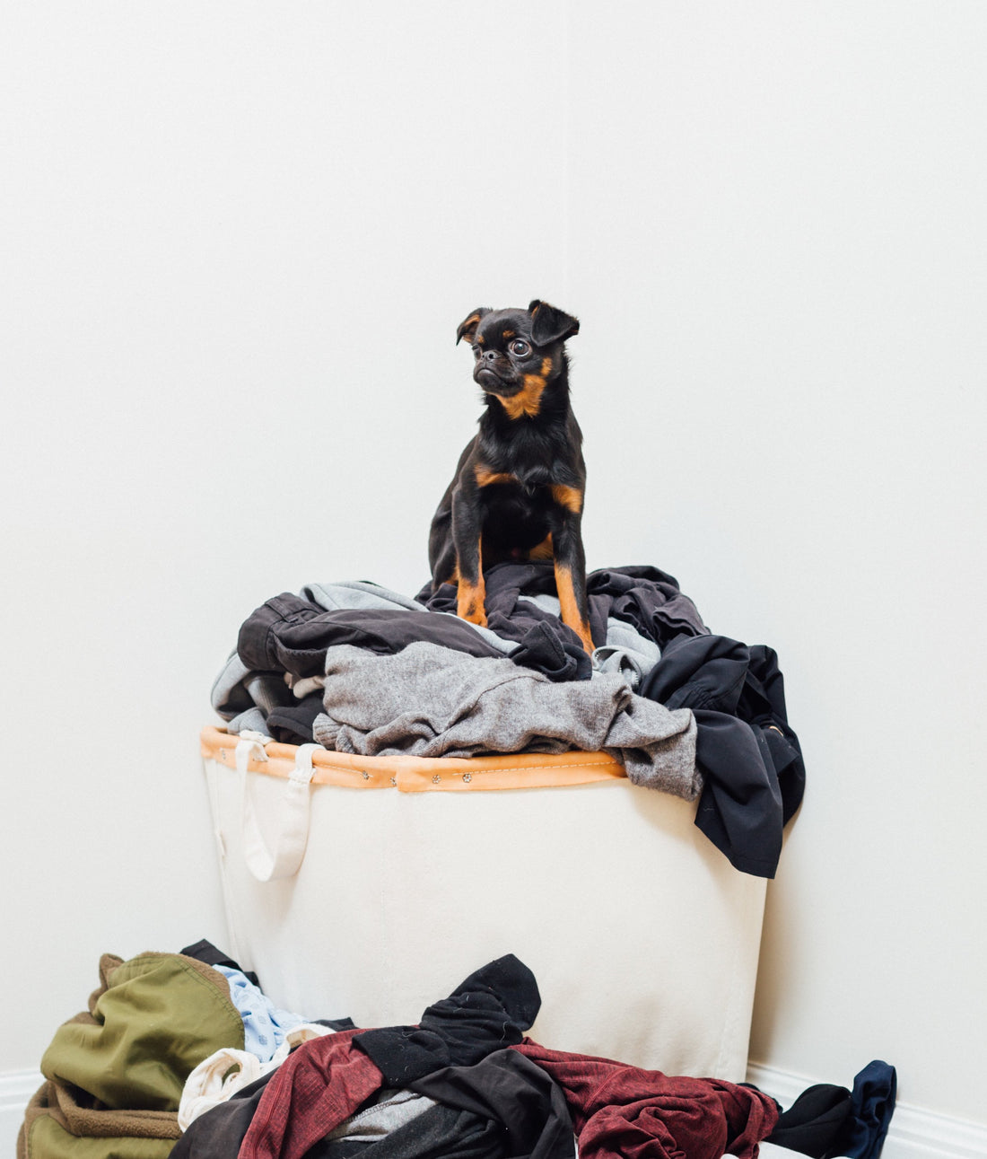 Why Linen and Organic Cotton?