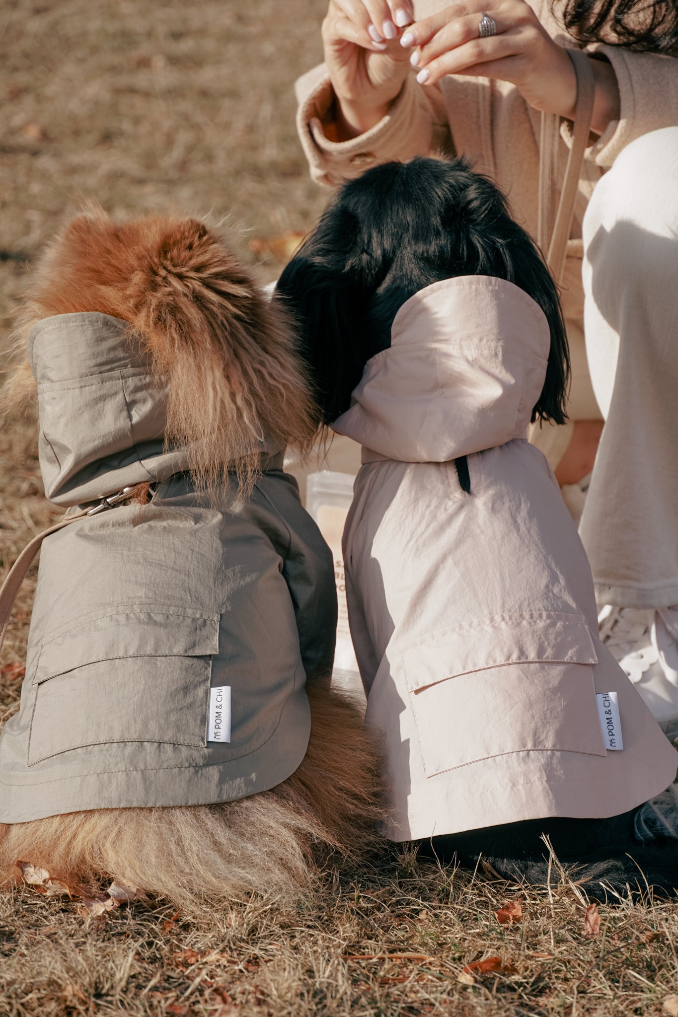 Small Dog Apparel