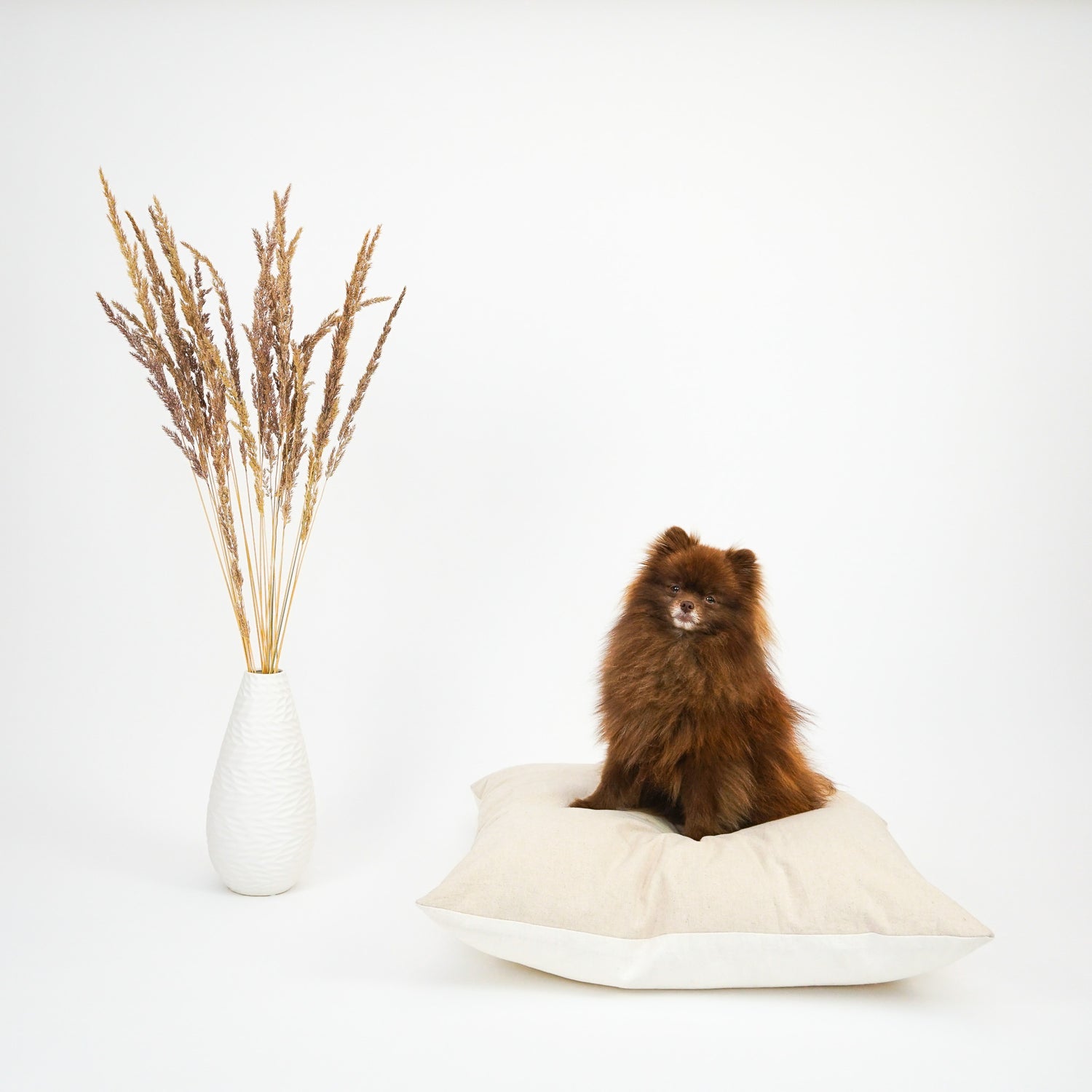The Everyday Dog Bed is certified sustainable by Global Measure