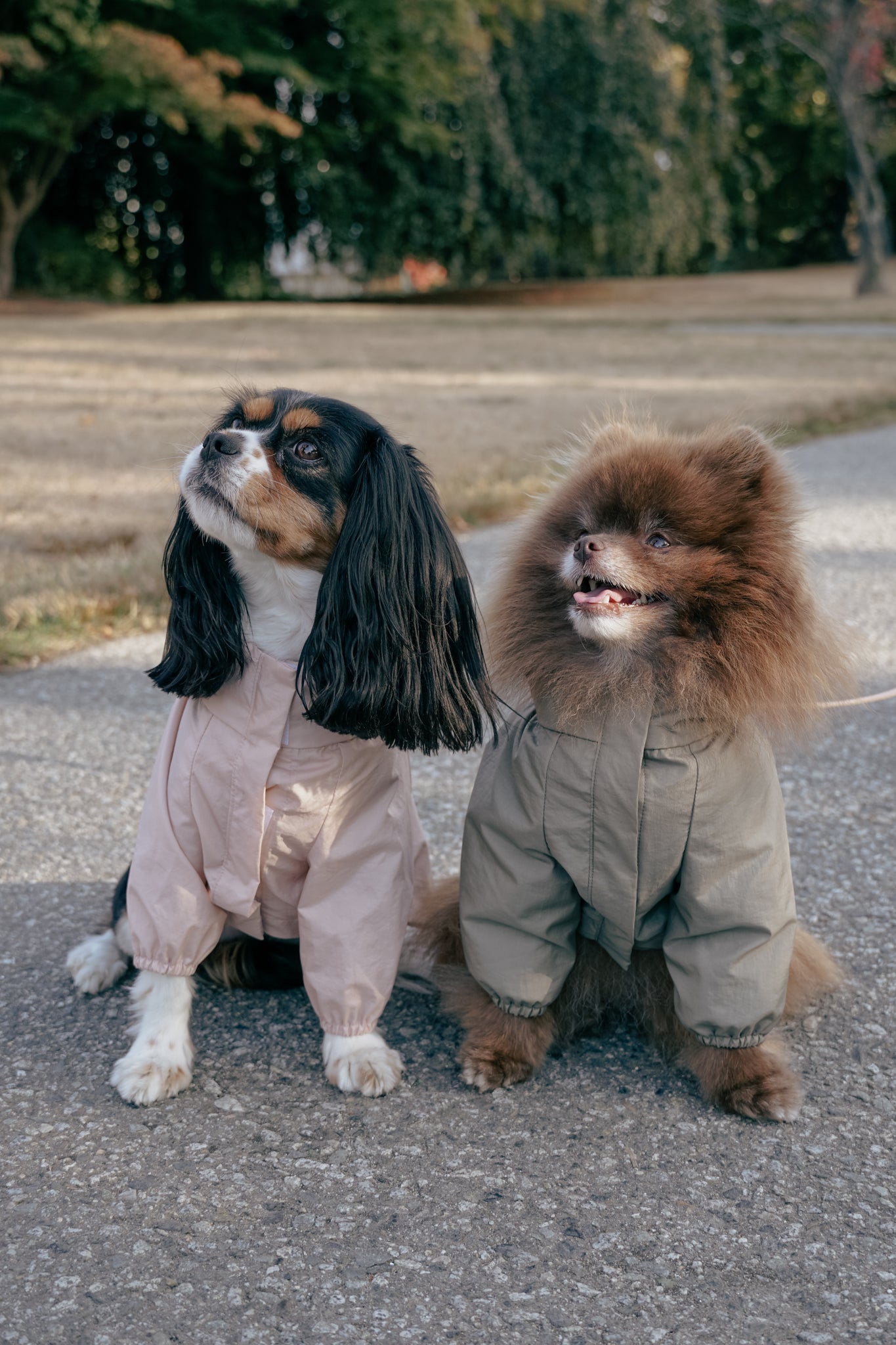 The Rain Jacket in Blush Pink