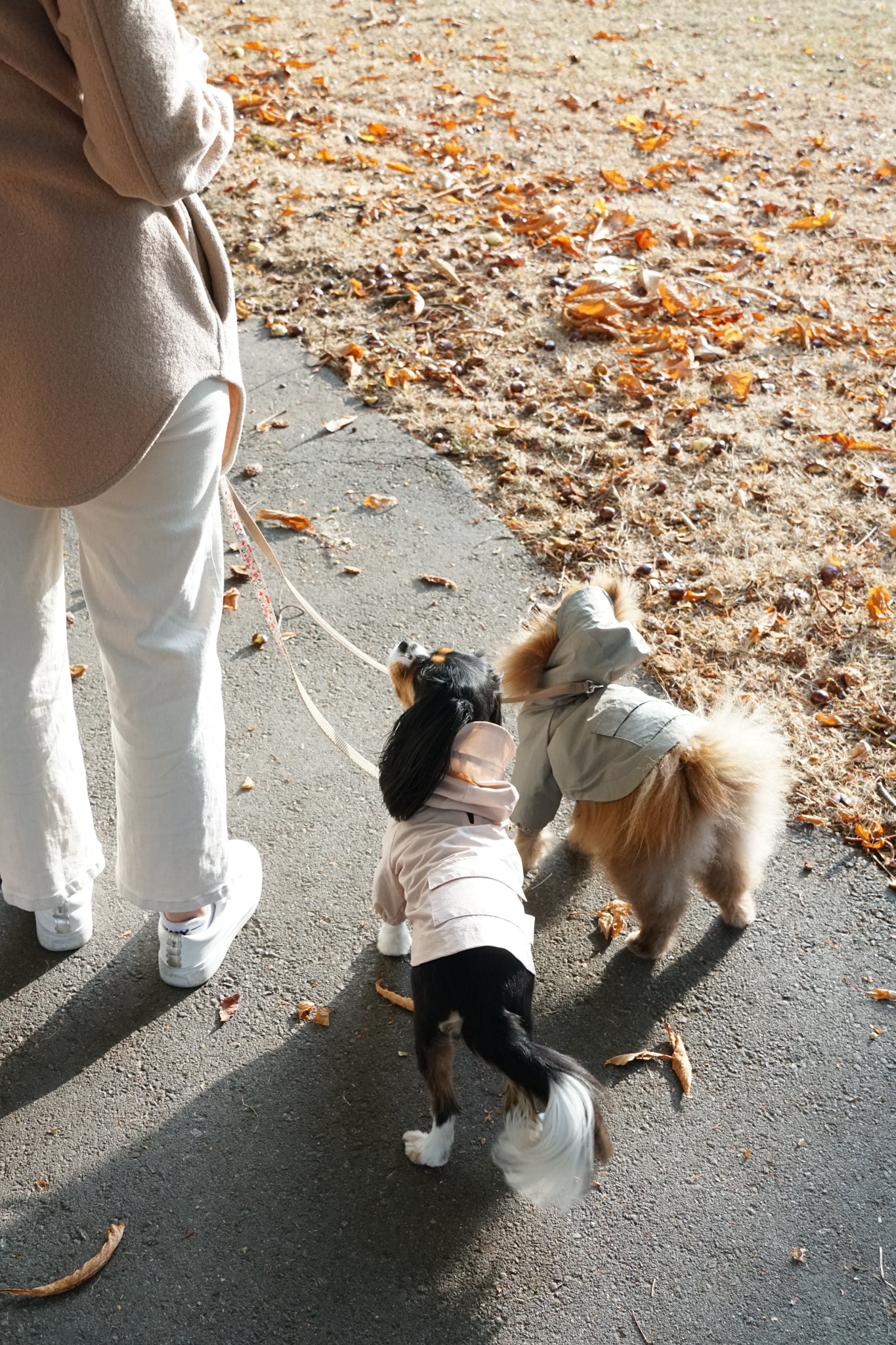 The Rain Jacket in Blush Pink