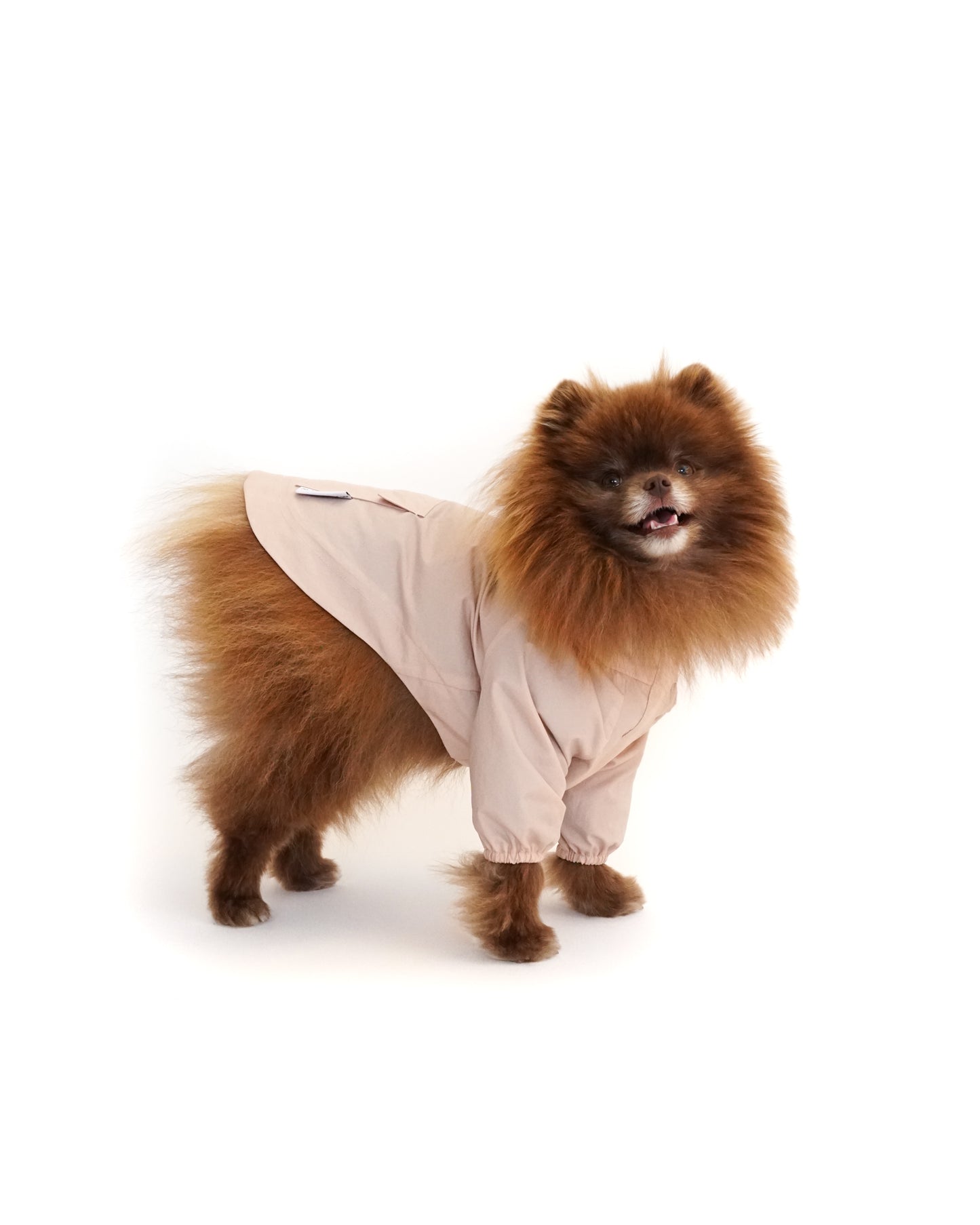 POM & CHI Pet Boutique The Rain Jacket for dogs in Blush Pink