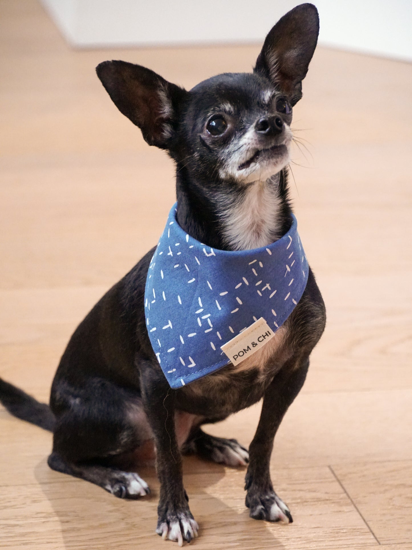 POM & Chi Pet Boutique Avocado dog bandana for small dogs