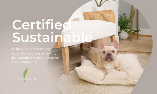 POM & CHI is certified sustainable by Global Measure! 