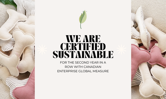 Celebrating Our Sustainable Journey: Certified for the Second Year in a Row!