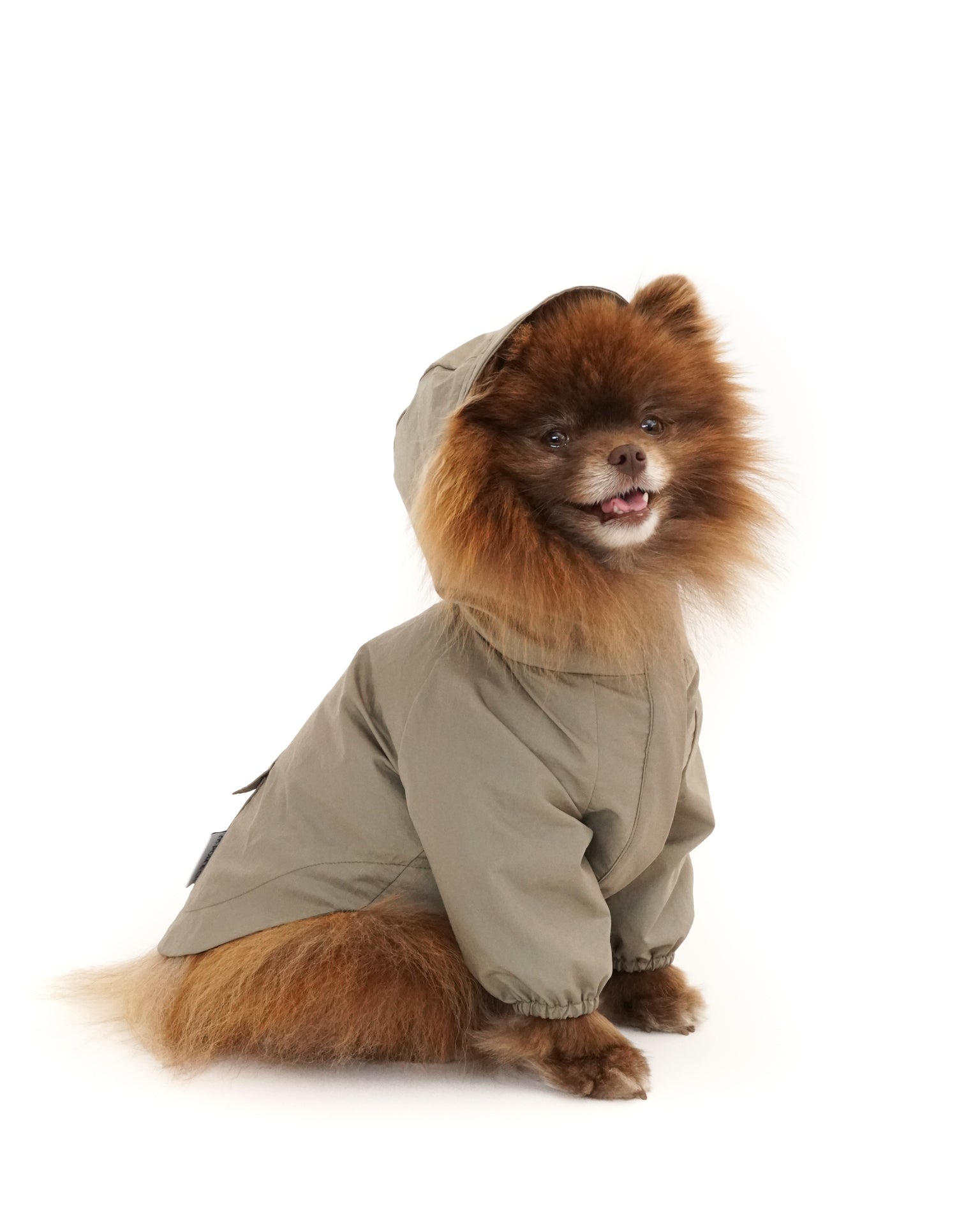 POM & CHI Pet Boutique The Rain Jacket for dogs in Sage Green