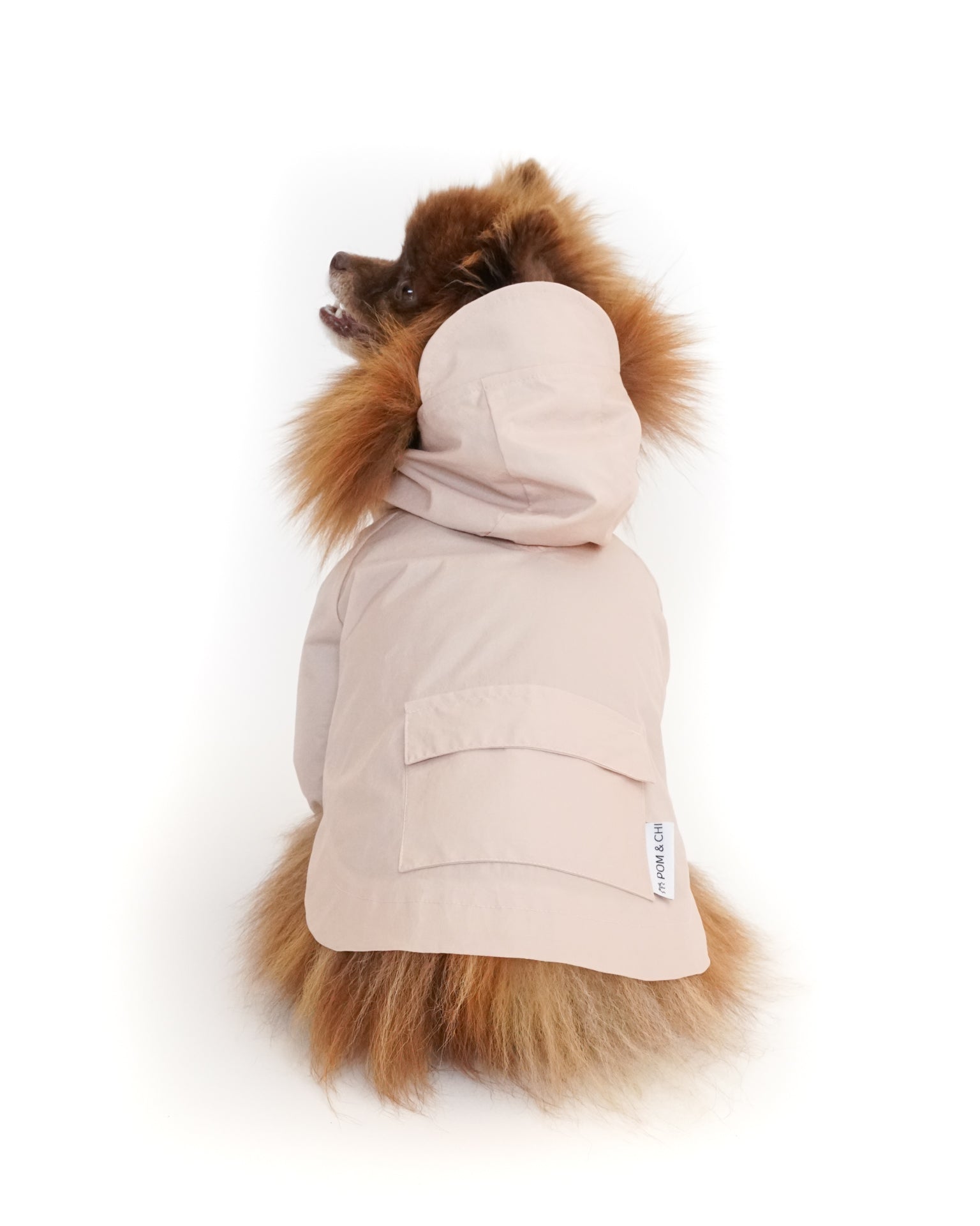 Small Dog Apparel Pom Chi Pet Boutique small-dog-apparel-pom-chi-pet-boutique