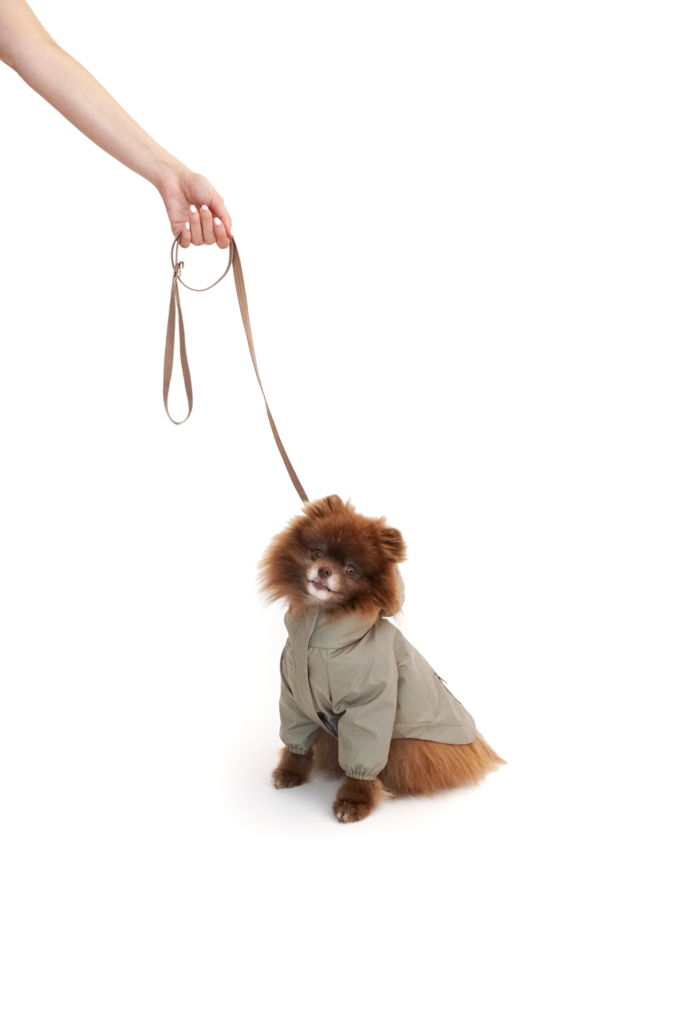 POM & CHI Pet Boutique The Rain Jacket for dogs in Sage Green