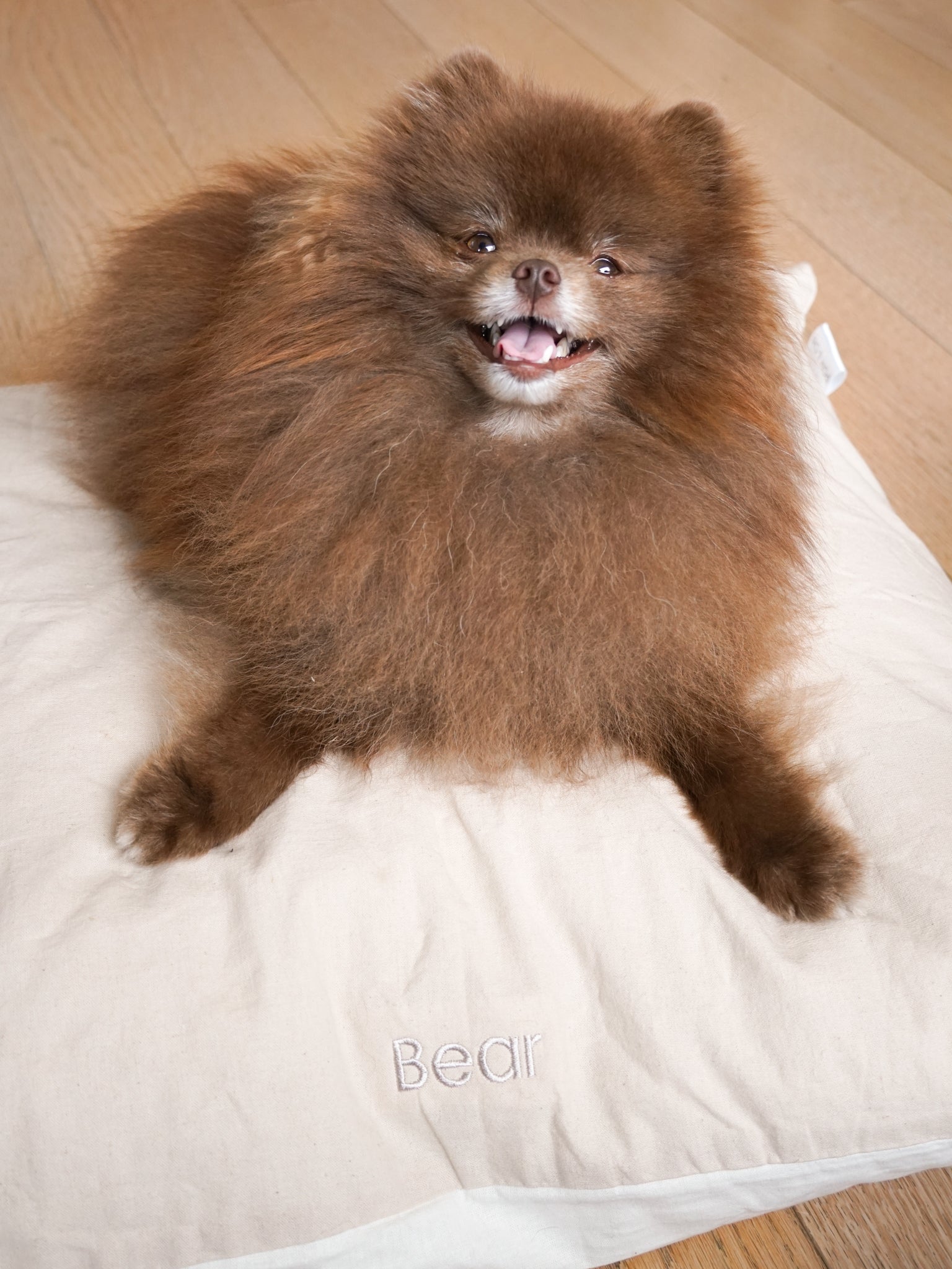 POM & Chi Pet Boutique small dog bed with custom embroidery