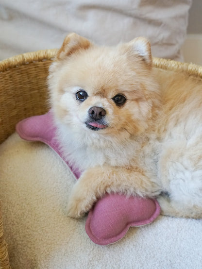 POM & CHI Pet Boutique Small Dog Squeaker Bone Toy in Dusted Rose