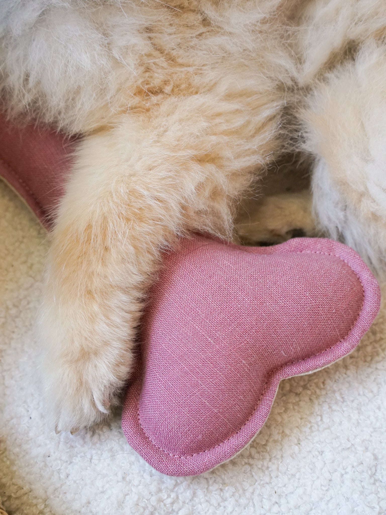 POM & CHI Pet Boutique Small Dog Squeaker Bone Toy in Dusted Rose