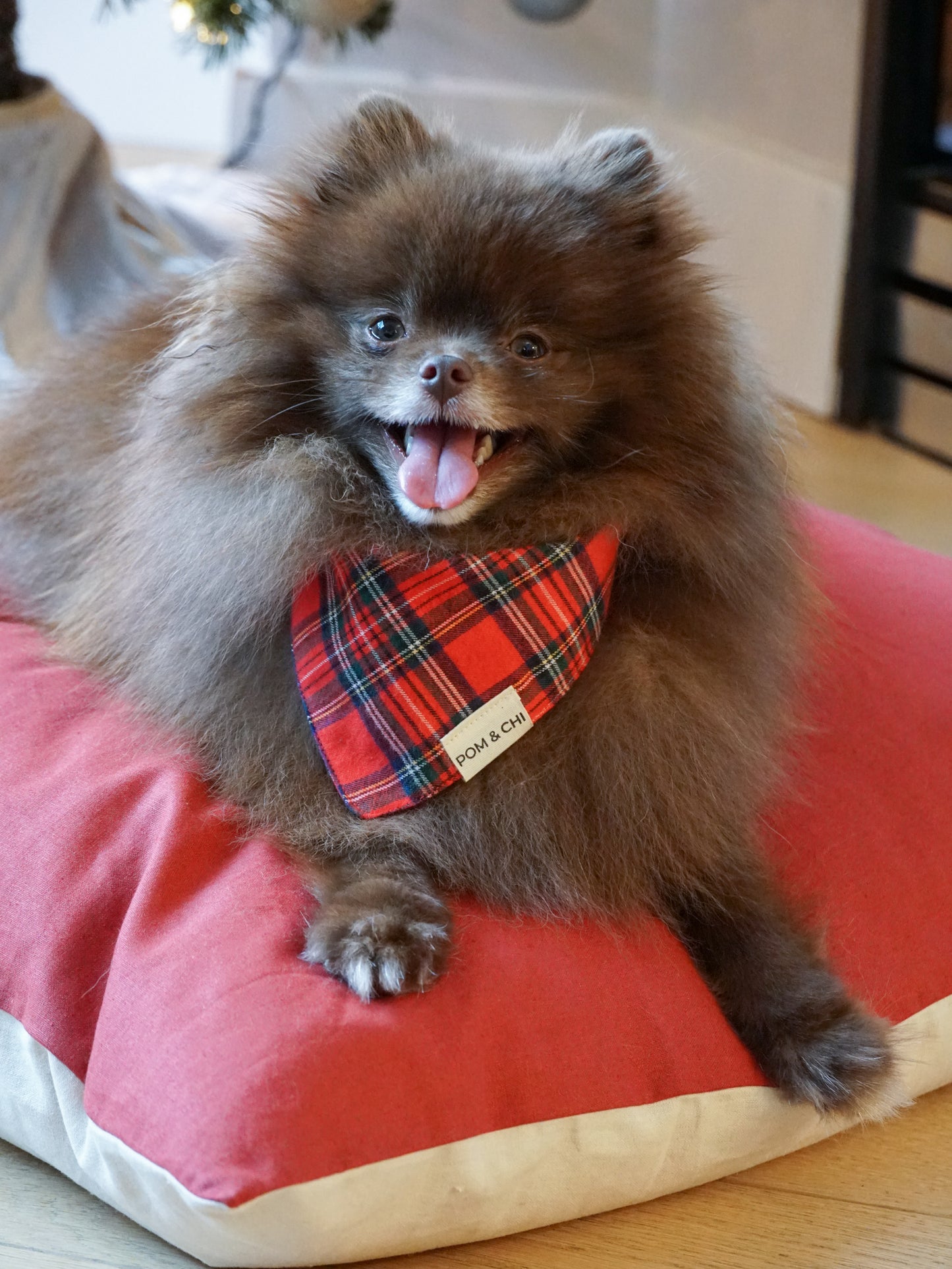 Pom & Chi The Everyday Dog Bed - Cranberry