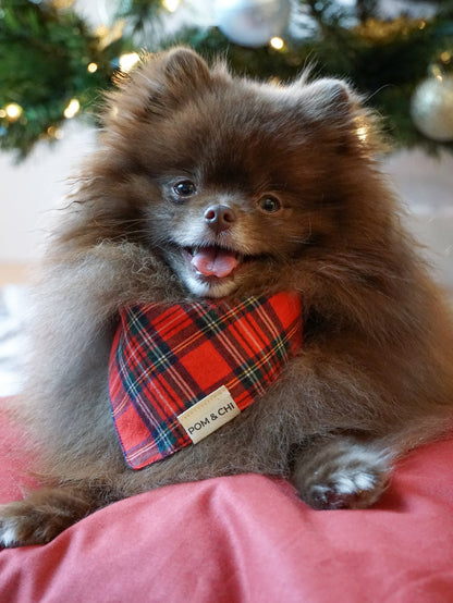 Pom & Chi Small Dog Bandana in Tartan
