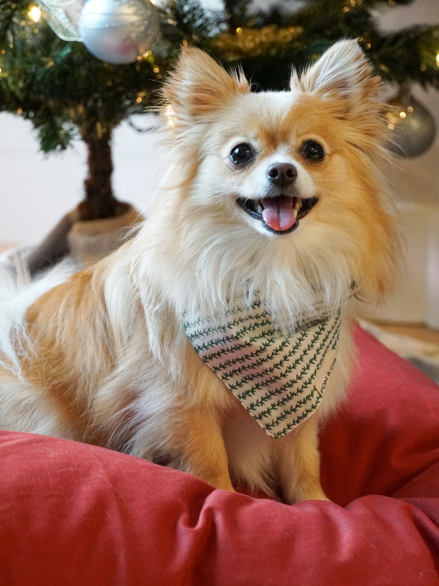 Mistletoe Kiss - Main Image