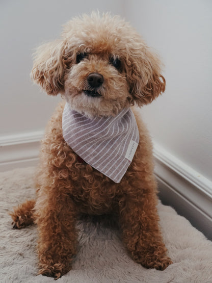 Pom & Chi small dog bandana in coastal stripe sand on Chloe