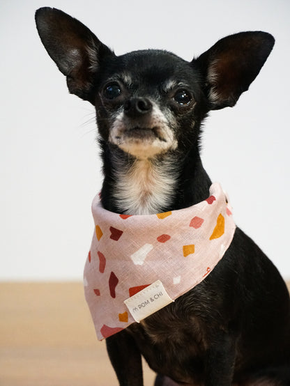 Pom & Chi Bella wearing small dog bandana pink terrazzo 
