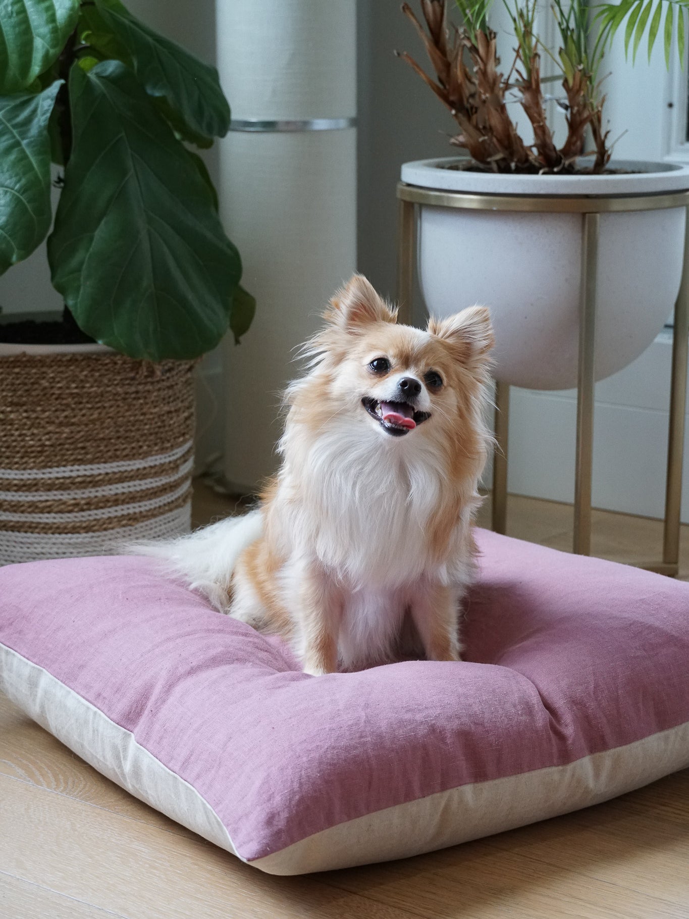 The Everyday Dog Bed in dusted rose 
