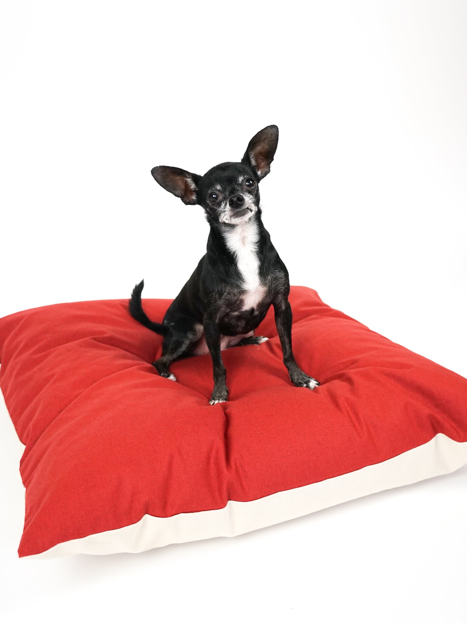 The Everyday Dog Bed in Cranberry