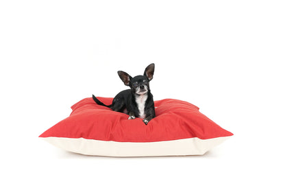 The Everyday Dog Bed in Cranberry