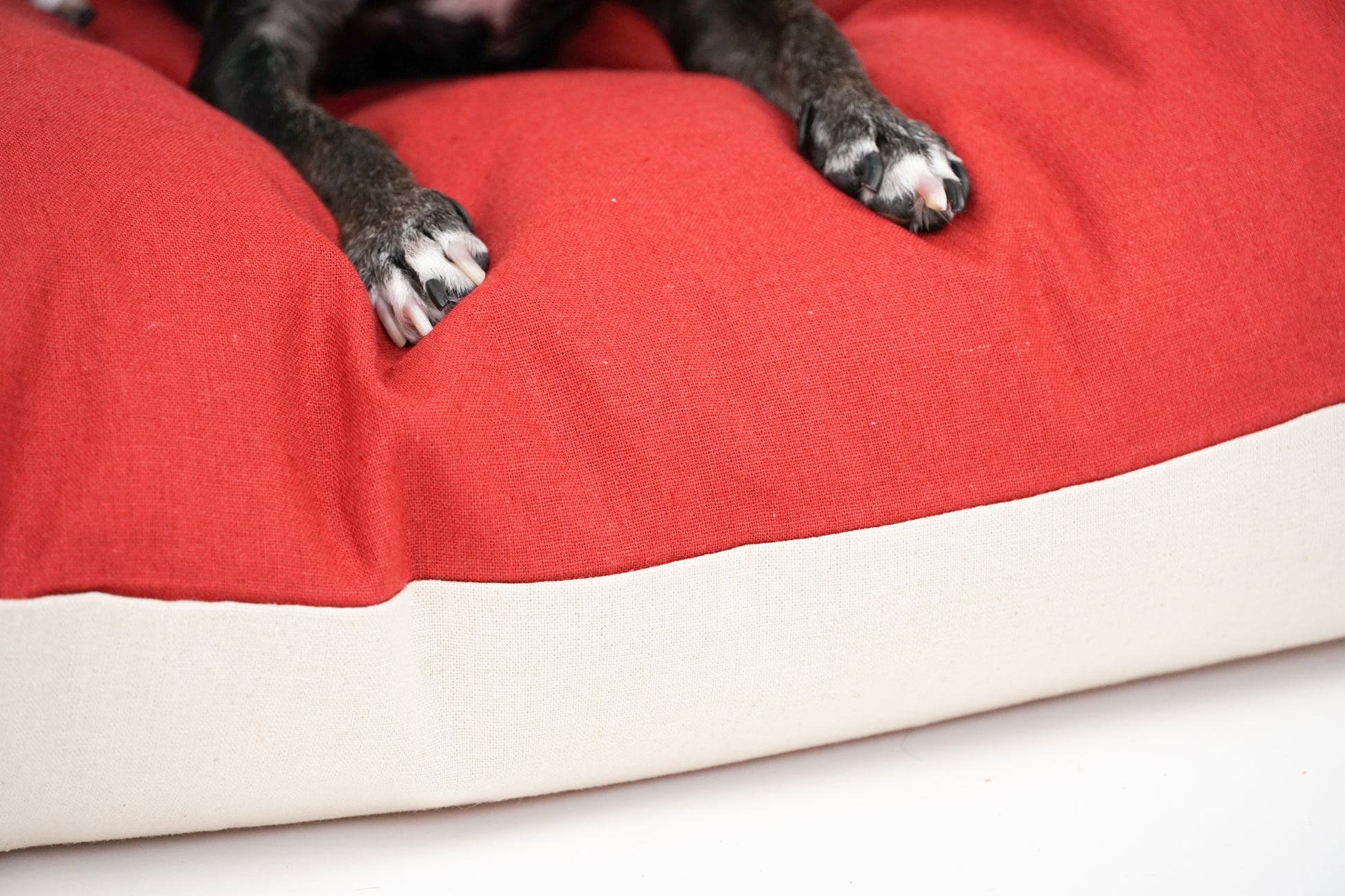 The Everyday Dog Bed in Cranberry