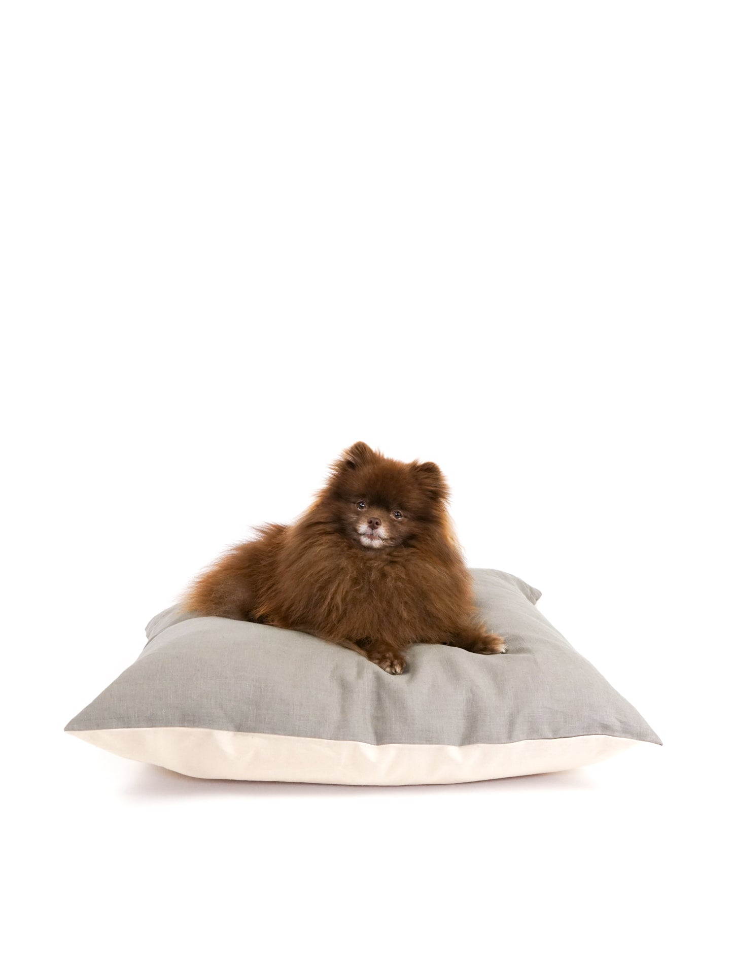The Everyday Dog Bed in Sage Grey