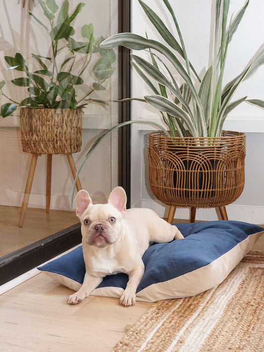 POM & Chi Pet Boutique small dog bed made from sustainable materials in Ocean blue