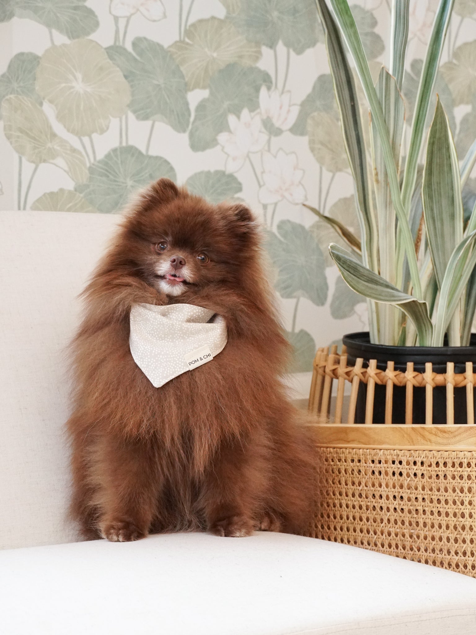 POM & Chi Pet Boutique Avocado dog bandana for small dogs