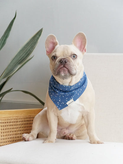 POM & Chi Pet Boutique Avocado Into the Blue dog bandana for small dogs