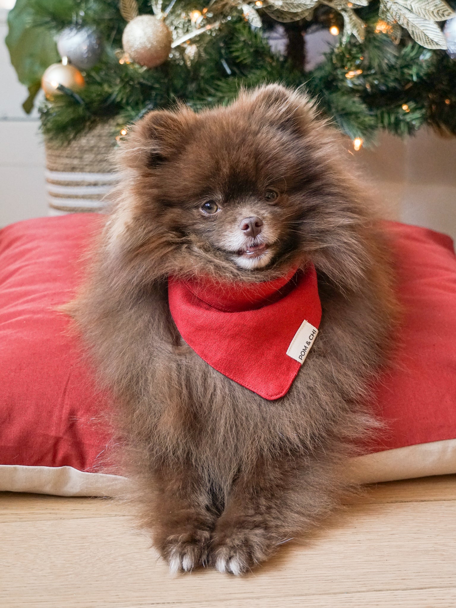 Pom & Chi Small Dog Bandana Holiday Collection
