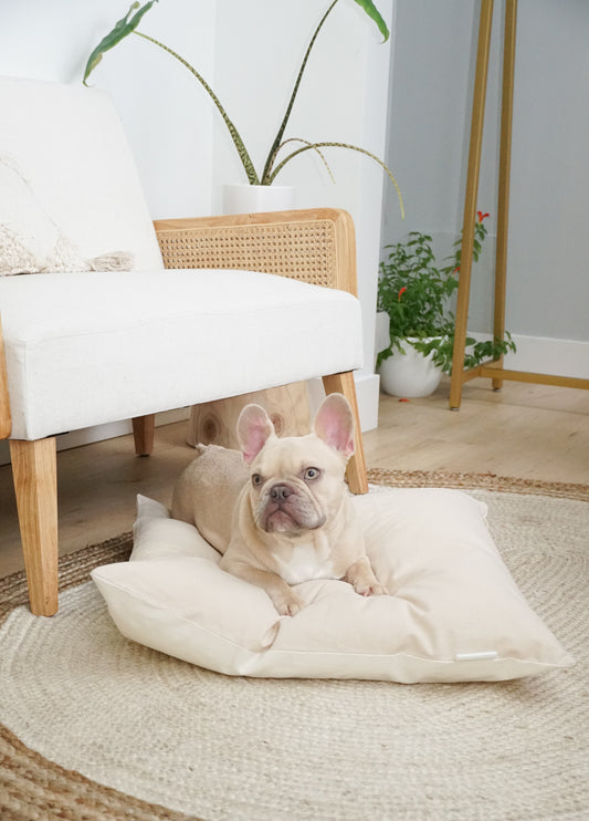 POM & Chi Pet Boutique sustainable and ethically made small dog bed in natural
